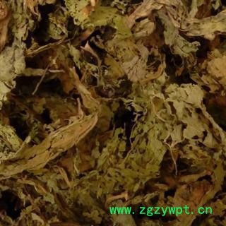 甜叶菊 甜菊叶 药用甜叶菊 茶用 正品 优质 无污染 精选 优惠图3