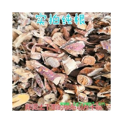 野生桑树根 老桑头老桑根 桑树根系干品无硫