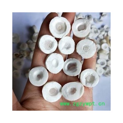 大通草 大通草统片保证纯净货货干无硫磺 产地 四川省