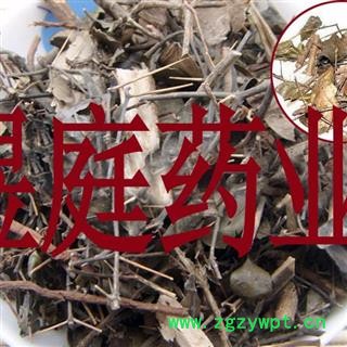 煜庭药业 老虎刺 虎刺 伏牛花 绣花针 正品图4