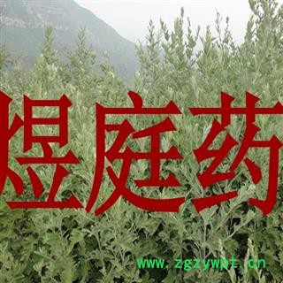 煜庭药业 艾叶图2