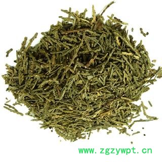 煜庭药业 侧柏叶 柏叶、丛柏叶图2