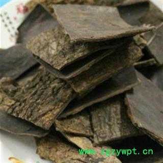 杜仲 杜仲厚方块0.7 产地 四川省图3