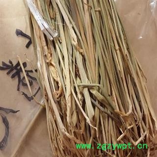 煜庭药业 竹叶卷心 别称碎骨子 山鸡米 金鸡米 迷身草图2