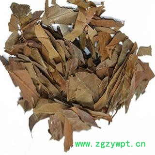 煜庭药业 石楠叶 正品 返现进行中图3