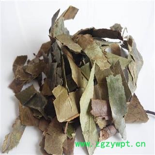 煜庭药业 石楠叶 正品 返现进行中图2