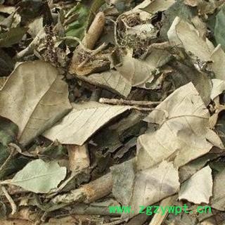 煜庭药业 紫珠叶 正品 紫珠草 返现进行中图2