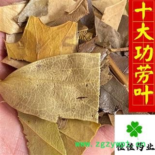 十大功劳叶 统 产地直销 量大从优 供应各种中药材 产地 湖北省图2