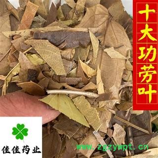 十大功劳叶 统 产地直销 量大从优 供应各种中药材 产地 湖北省图3