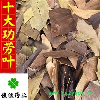 十大功劳叶 统 产地直销 量大从优 供应各种中药材 产地 湖北省图4