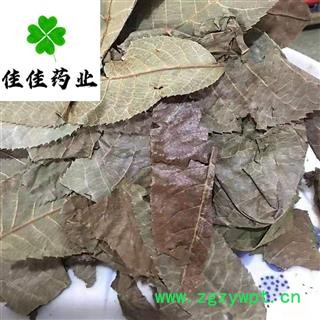 青钱柳叶 选货 金钱柳叶 摇钱树 麻柳 产地 云南省图3