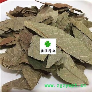 青钱柳叶 选货 金钱柳叶 摇钱树 麻柳 产地 云南省图2