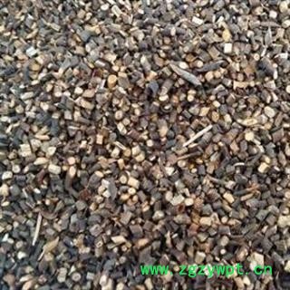 桂枝 桂枝尖 选货 产地 广西壮族自治区图2