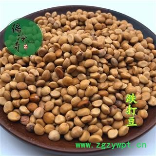 野生跌打豆 小偷豆 拐子豆 贼佬豆 统 产地 广西壮族自治区图2