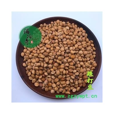 野生跌打豆 小偷豆 拐子豆 贼佬豆 统 产地 广西壮族自治区