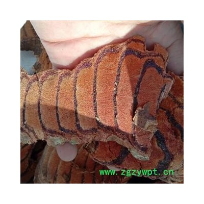 鸡血藤 统 产地 云南省楚雄彝族自治州永仁县