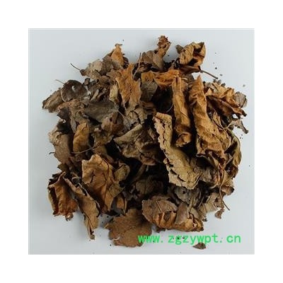 霜桑叶 统货 产地 河南省