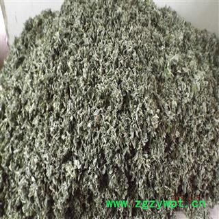 艾叶 手捡大片 产地 河南省南阳市图2