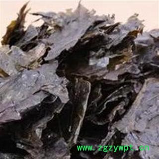 毛冬青叶 选 云南野生毛冬青茶叶 有毛冬青茶 产地 云南省图2