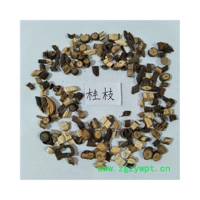 桂枝 桂枝0.6尖。桂枝尖 产地 广西壮族自治区