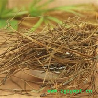 松针 统 产地 河南省三门峡市市辖区 双鹏药材行 可提供打粉图2