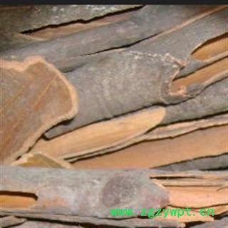 中药材 桂皮 肉桂 山桂皮 筒桂 正品 批发 零售图3