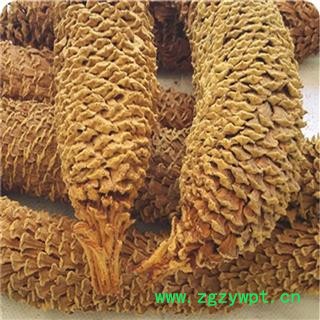 煜庭药业 铁树叶 雄花  铁树花图3