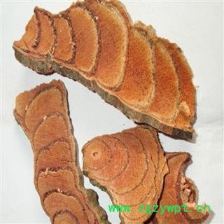 煜庭药业 鸡血藤图4