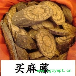 买麻藤  麻骨风 买子藤 驳骨藤 大节藤图2