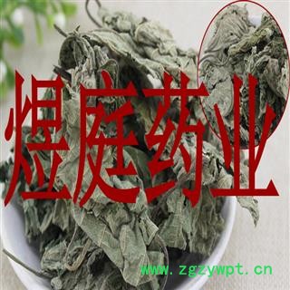 煜庭药业 楮叶 褚桃叶 楮树叶图4