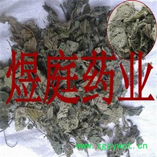 煜庭药业 楮叶 褚桃叶 楮树叶图2