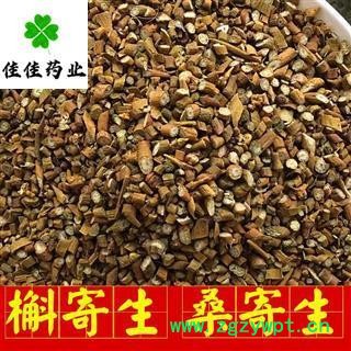 槲寄生 选装 正品槲寄生 实物图 产地直销 桑寄生 供应大货 产地 辽宁省图3