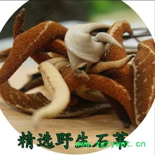 秦岭野生石苇中药材石韦中药店干石韦2019新货精选干石苇自然无硫图2