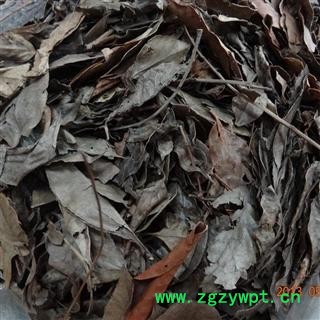 南烛叶 统 产地 玉林药市 库存 10公斤可售 买家承担运费图3