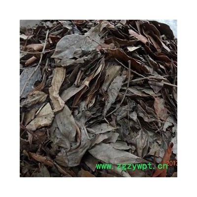 南烛叶 统 产地 玉林药市 库存 10公斤可售 买家承担运费