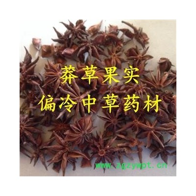 莽草 统货 产地 云南省 山八角