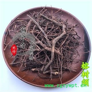 榕树须 吊风根 半天吊 倒生木 细叶榕 不死树图3