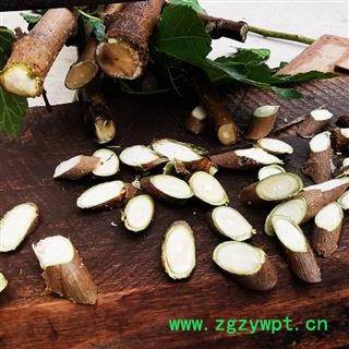 秦岭野生桑枝500g 桑枝片中药材桑枝桑树条桑枝桑叶树枝 老桑枝片图3