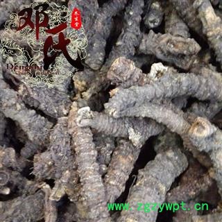 【满包邮】羌活 统 产地 四川省阿坝藏族羌族自治州 邓氏中药行图4