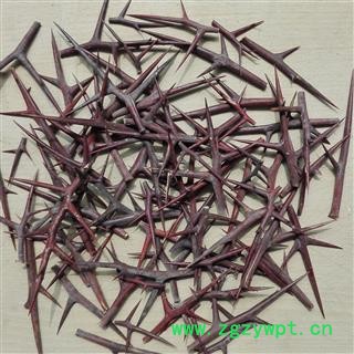 皂角刺 优质大刺选货 原产地直供 道地药材 河南嵩县 七天无理由退换货图3