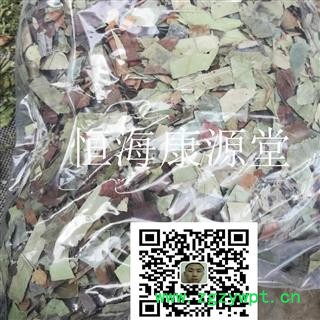 石楠叶 正品 石眼树叶 老少年叶 凿树 石纲图3