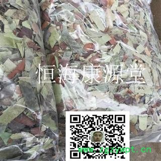 石楠叶 正品 石眼树叶 老少年叶 凿树 石纲图2