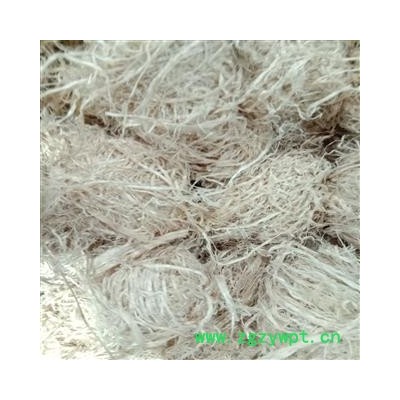 竹茹 竹茹球，优质 产地 福建省泉州市惠安县