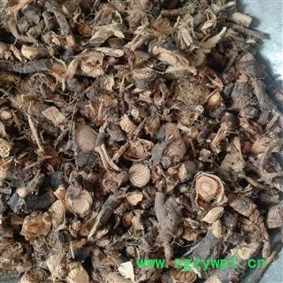 金雀根 ，金雀根片，锦鸡儿根片，统片 产地 河南省图2