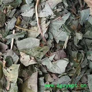 淫羊藿 ，心叶淫羊藿，仙灵脾，统段， 产地 河南省，过药检图4