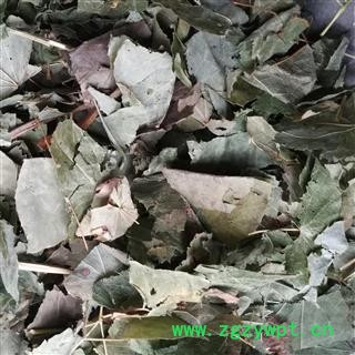 淫羊藿 ，心叶淫羊藿，仙灵脾，统段， 产地 河南省，过药检图2