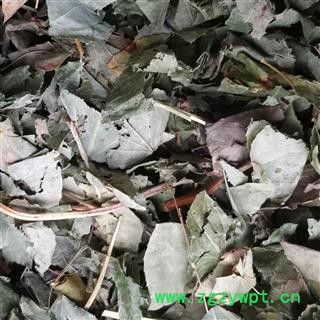 淫羊藿 ，心叶淫羊藿，仙灵脾，统段， 产地 河南省，过药检图3