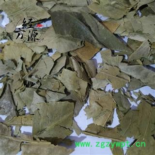 橘叶 桔叶 橘子叶 统货图3