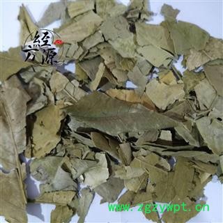 橘叶 桔叶 橘子叶 统货图2