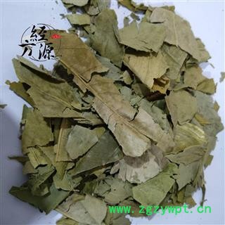 橘叶 桔叶 橘子叶 统货图4